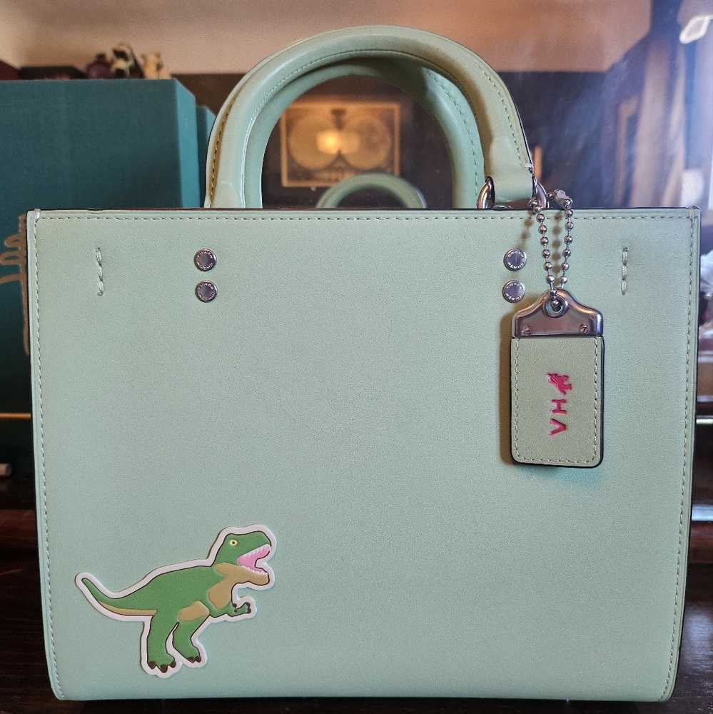 Coach customized Rogue 25